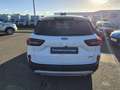 Ford Kuga 2.5 Duratec 180ch Hybrid FlexiFuel Titanium Business Powershift Grün - thumbnail 6