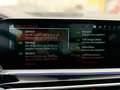 BMW X7 xDrive 40 d M Sport *Pano*7 Sitzer* 22 Zoll* Gris - thumbnail 20