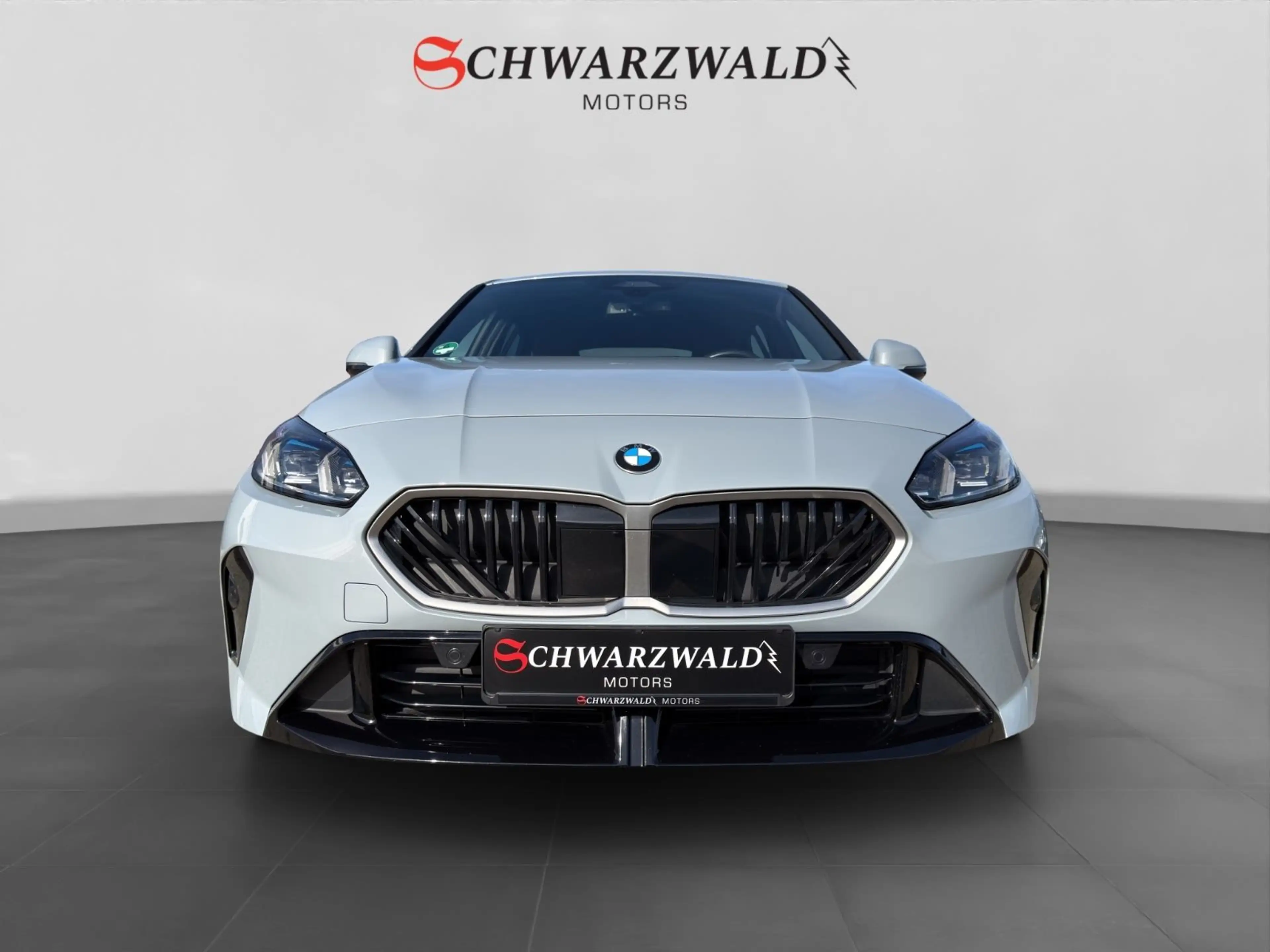 BMW 118 d M Sport Automatik CarPlay Kamera Alexa — photo 8