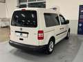 Volkswagen Caddy 1.6 TDI 102 CV 5p. Comfortline AUTOCARRO N1 Bianco - thumbnail 6
