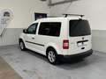 Volkswagen Caddy 1.6 TDI 102 CV 5p. Comfortline AUTOCARRO N1 Bianco - thumbnail 5