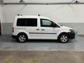 Volkswagen Caddy 1.6 TDI 102 CV 5p. Comfortline AUTOCARRO N1 Bianco - thumbnail 7