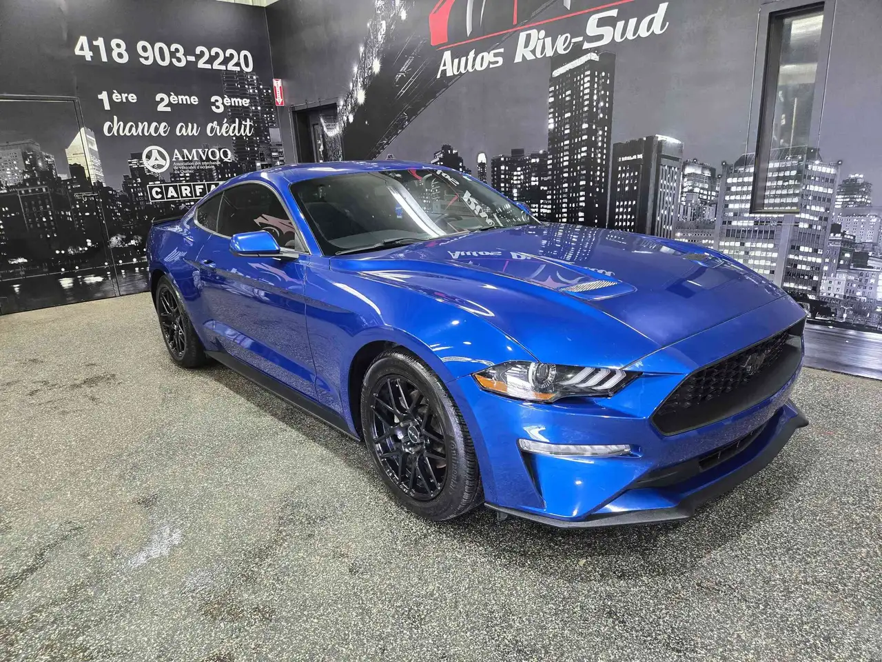 Ford Mustang photo Ford Mustang