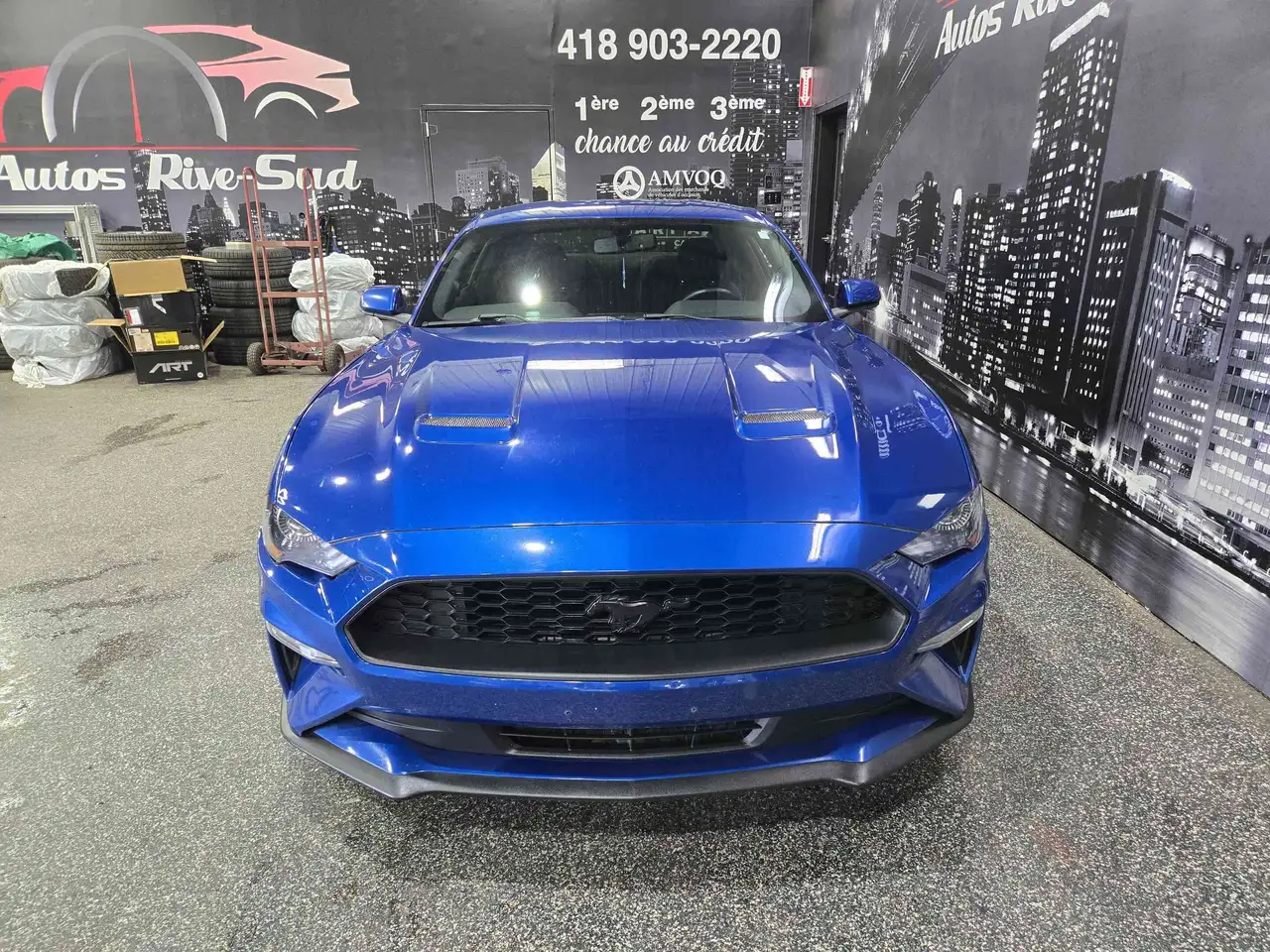 Ford Mustang photo Ford Mustang