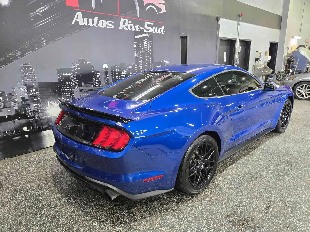 Ford Mustang photo Ford Mustang