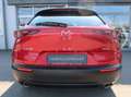 Mazda CX-30 *Sondermodell mit Top-Ausstattung in Bestzustand* Rot - thumbnail 8
