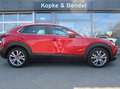 Mazda CX-30 *Sondermodell mit Top-Ausstattung in Bestzustand* Rot - thumbnail 4