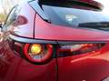 Mazda CX-30 *Sondermodell mit Top-Ausstattung in Bestzustand* Rot - thumbnail 11