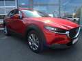 Mazda CX-30 *Sondermodell mit Top-Ausstattung in Bestzustand* Rot - thumbnail 3