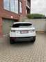 Land Rover Range Rover Evoque TD4 Dynamic Blanc - thumbnail 4