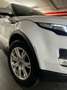 Land Rover Range Rover Evoque TD4 Dynamic Wit - thumbnail 12