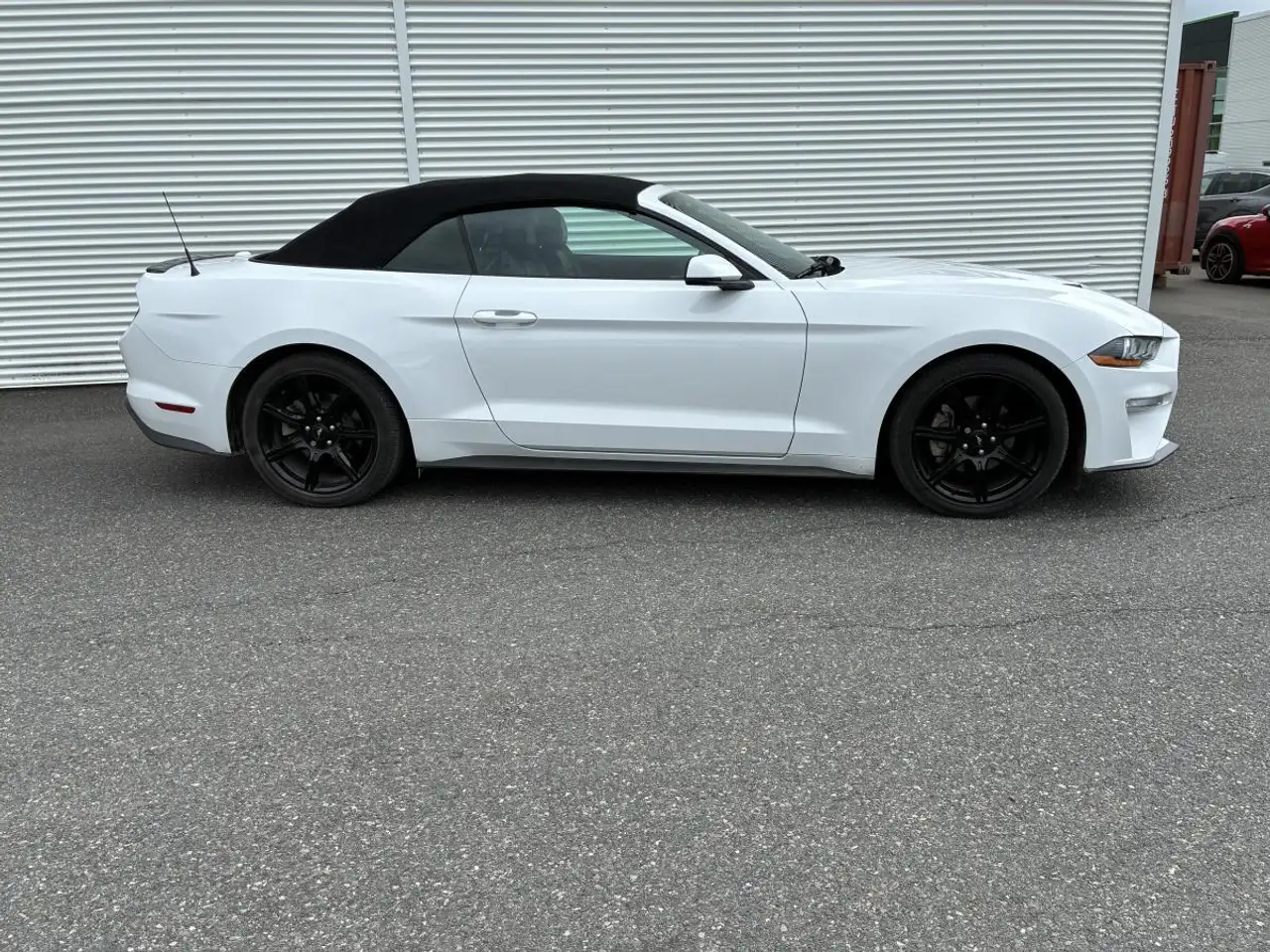 Ford Mustang снимка Ford Mustang