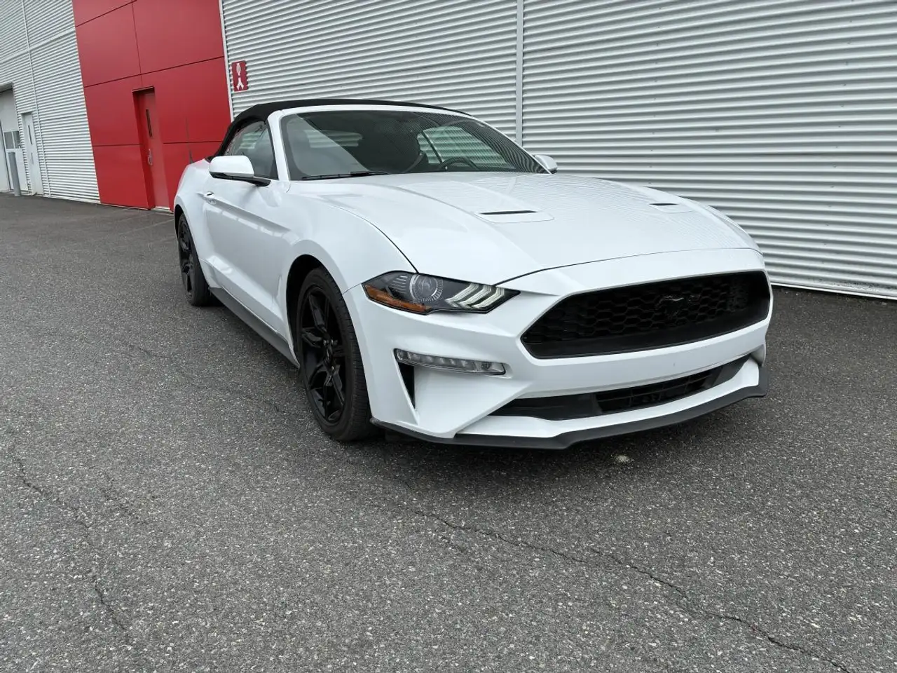 Ford Mustang снимка Ford Mustang
