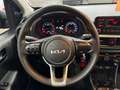 Kia Picanto Picanto 1.0 GPL CASA MADRE 5p. Urban, PRONTA CNSE Grigio - thumbnail 9