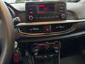 Kia Picanto Picanto 1.0 GPL CASA MADRE 5p. Urban, PRONTA CNSE Grigio - thumbnail 11