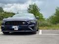Ford Mustang Fastback 2.3 ecoboost 291cv 55º Anniversario Blu/Azzurro - thumbnail 5