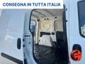 Fiat Doblo 1.3 MJT CV PC-TN CATENA+FRIZIONE NUOVA+SOSPENSIONI Wit - thumbnail 18