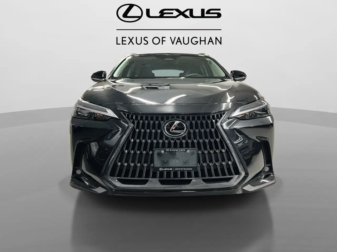 Lexus NX снимка Lexus NX