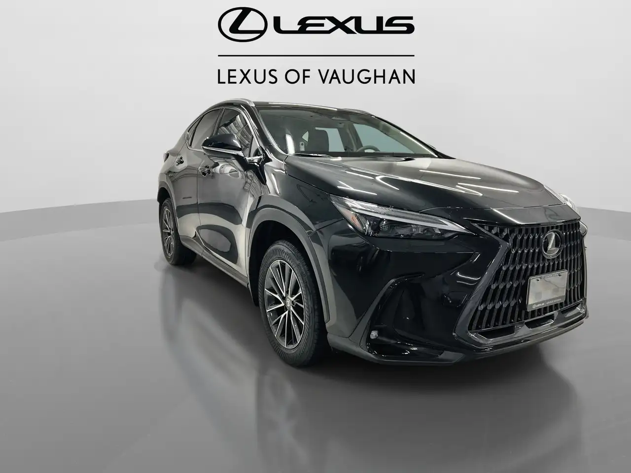 Lexus NX снимка Lexus NX
