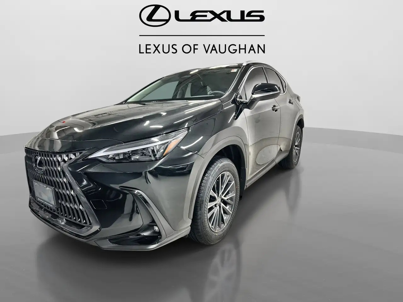 Lexus NX снимка Lexus NX