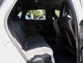 Audi RS3 Sportback Schalensitze Carbon Spoiler Matrix LE... Gris - thumbnail 13