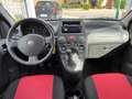 Fiat Panda Panda II 2003 1.3 mjt 16v Climbing 4x4 Rosso - thumbnail 7