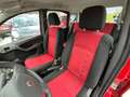 Fiat Panda Panda II 2003 1.3 mjt 16v Climbing 4x4 Rosso - thumbnail 8