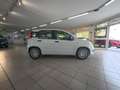 Fiat Panda 1.0 firefly hybrid s Bianco - thumbnail 4