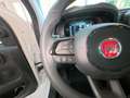 Fiat Panda 1.0 firefly hybrid s Bianco - thumbnail 23