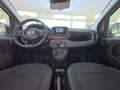 Fiat Panda 1.0 firefly hybrid s Bianco - thumbnail 19