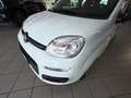 Fiat Panda 1.0 firefly hybrid s Bianco - thumbnail 10