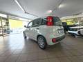 Fiat Panda 1.0 firefly hybrid s Bianco - thumbnail 7