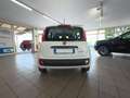Fiat Panda 1.0 firefly hybrid s Bianco - thumbnail 6