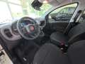 Fiat Panda 1.0 firefly hybrid s Bianco - thumbnail 13