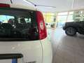 Fiat Panda 1.0 firefly hybrid s Bianco - thumbnail 11