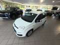 Fiat Panda 1.0 firefly hybrid s Bianco - thumbnail 9