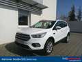 Ford Kuga 1,5 EcoBoost Trend Weiß - thumbnail 1