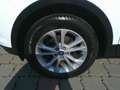 Ford Kuga 1,5 EcoBoost Trend Weiß - thumbnail 9