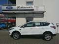 Ford Kuga 1,5 EcoBoost Trend Weiß - thumbnail 2