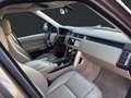 Land Rover Range Rover HSE 5.0 V8 *New Modell* Gold - thumbnail 12