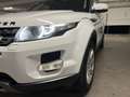 Land Rover Range Rover Evoque pure Weiß - thumbnail 2