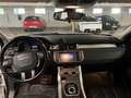 Land Rover Range Rover Evoque pure Weiß - thumbnail 11