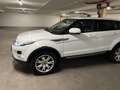 Land Rover Range Rover Evoque pure Weiß - thumbnail 9