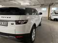 Land Rover Range Rover Evoque pure Weiß - thumbnail 16
