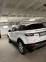 Land Rover Range Rover Evoque pure Weiß - thumbnail 7