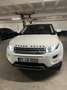 Land Rover Range Rover Evoque pure Weiß - thumbnail 19