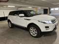 Land Rover Range Rover Evoque pure Weiß - thumbnail 17