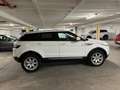 Land Rover Range Rover Evoque pure Weiß - thumbnail 18