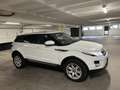 Land Rover Range Rover Evoque pure Weiß - thumbnail 5