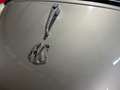 AC Sonstige Bristol Greyhound 1961 Silber - thumbnail 13